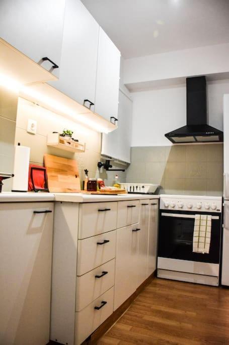 Newly Renovated-City Center Apartment Athen Eksteriør billede